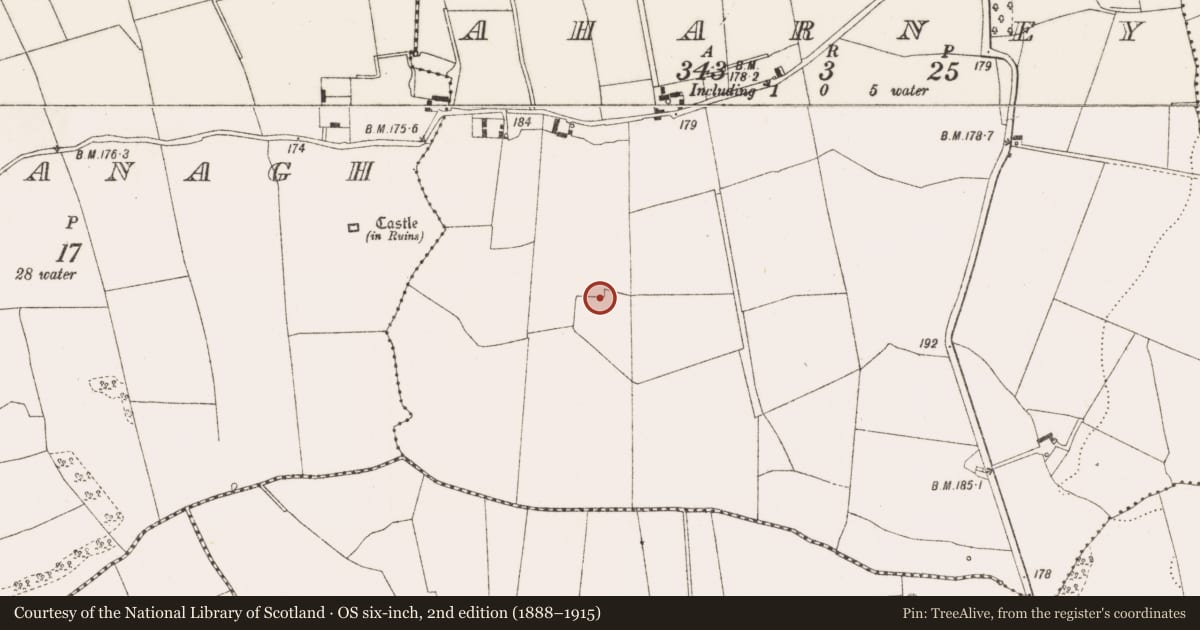 Ordnance Survey six-inch map, 2nd edition (1888–1915) covering the location of Enclosure, Aharney, County Offaly, with a pin at the register's coordinates