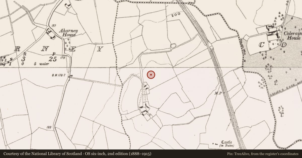 Ordnance Survey six-inch map, 2nd edition (1888–1915) covering the location of Mound, Ballykilmurry, County Offaly, with a pin at the register's coordinates