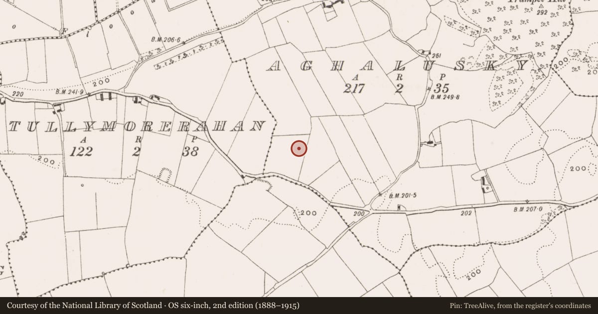 Ordnance Survey six-inch map, 2nd edition (1888–1915) covering the location of Enclosure, Aghalusky, County Offaly, with a pin at the register's coordinates