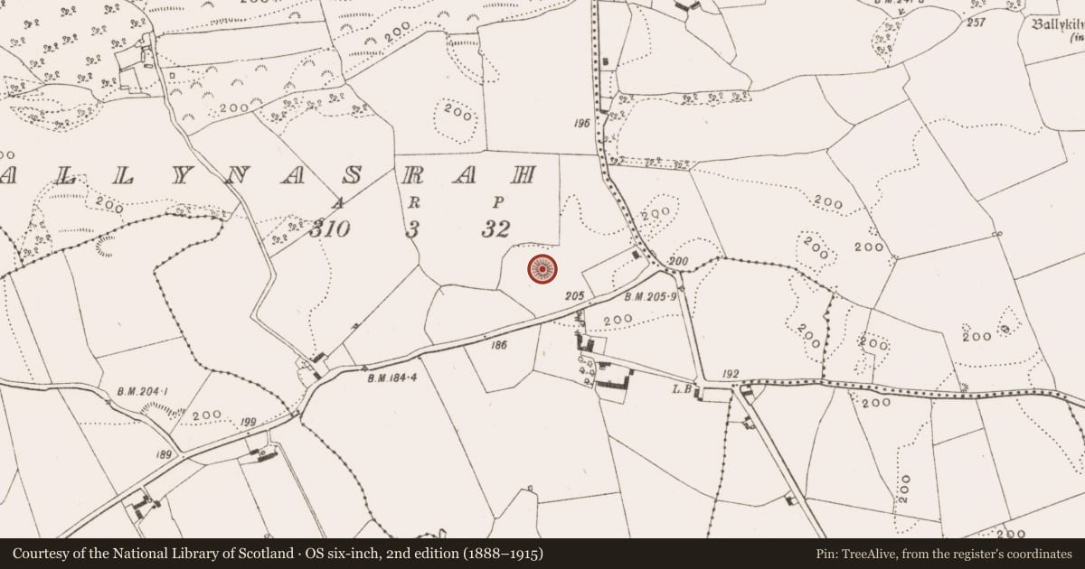 Ordnance Survey six-inch map, 2nd edition (1888–1915) covering the location of Barrow - stepped barrow, Ballynasrah, County Offaly, with a pin at the register's coordinates