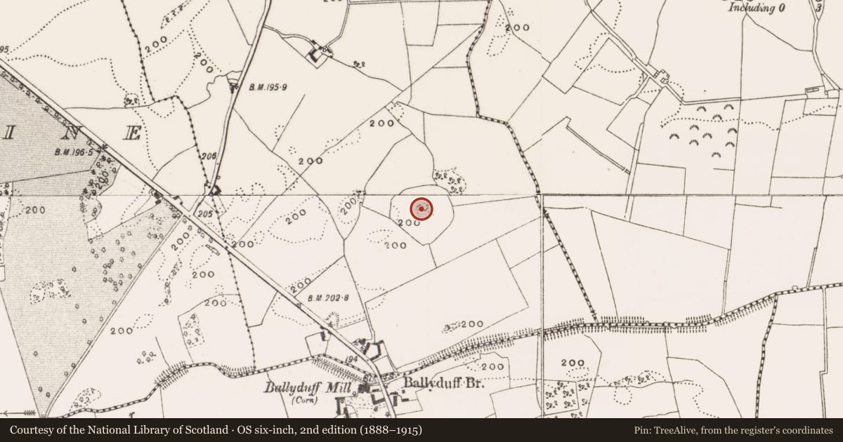 Ordnance Survey six-inch map, 2nd edition (1888–1915) covering the location of Burial, Kildangan, County Offaly, with a pin at the register's coordinates