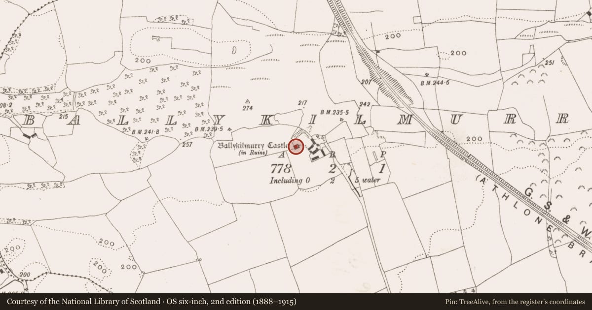 Ordnance Survey six-inch map, 2nd edition (1888–1915) covering the location of Castle - tower house, Ballykilmurry, County Offaly, with a pin at the register's coordinates