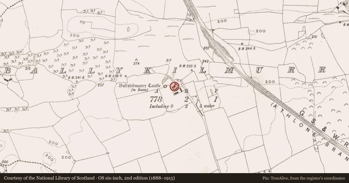 Ordnance Survey six-inch map, 2nd edition (1888–1915) covering the location of Stone head, Ballykilmurry, County Offaly, with a pin at the register's coordinates