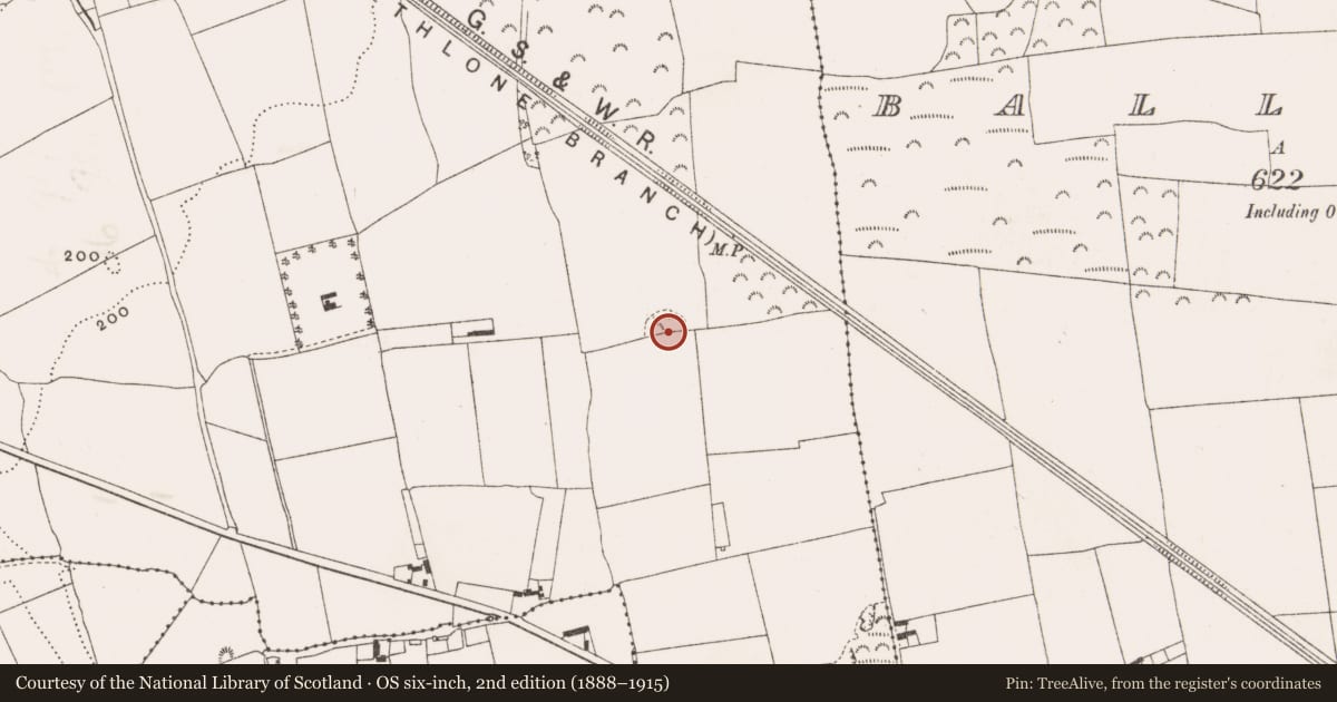 Ordnance Survey six-inch map, 2nd edition (1888–1915) covering the location of Designed landscape feature, Ballykilmurry, County Offaly, with a pin at the register's coordinates