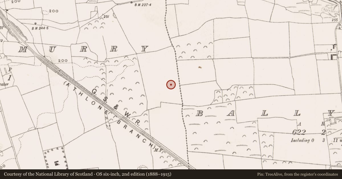 Ordnance Survey six-inch map, 2nd edition (1888–1915) covering the location of Designed landscape feature, Ballykilmurry, County Offaly, with a pin at the register's coordinates