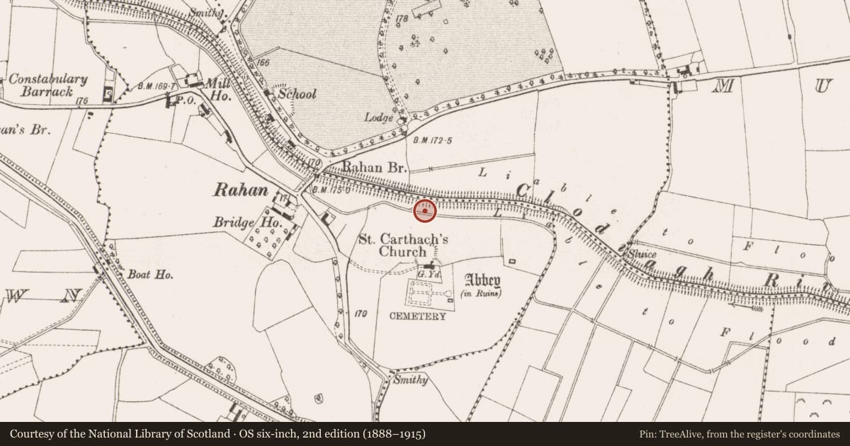 Ordnance Survey six-inch map, 2nd edition (1888–1915) covering the location of Bullaun stone, Rahan Demesne, County Offaly, with a pin at the register's coordinates