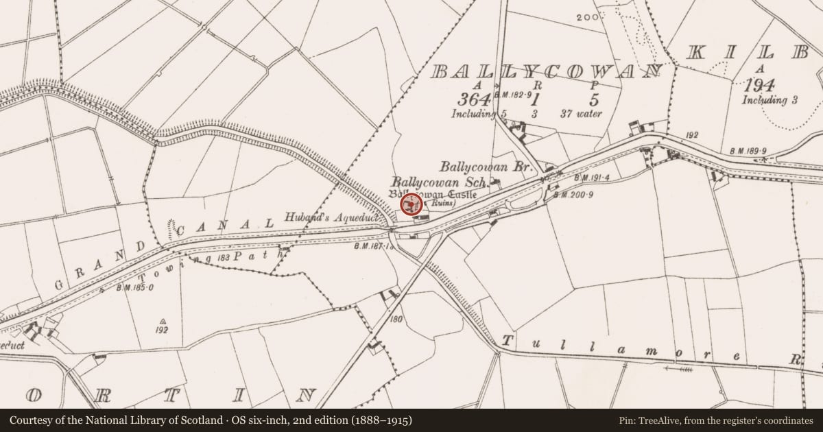 Ordnance Survey six-inch map, 2nd edition (1888–1915) covering the location of Armorial plaque, Ballycowan, County Offaly, with a pin at the register's coordinates