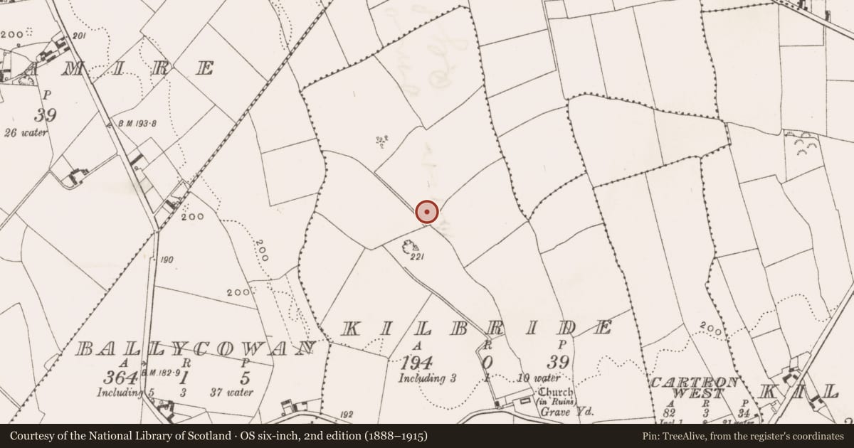 Ordnance Survey six-inch map, 2nd edition (1888–1915) covering the location of Enclosure, Kilbride, County Offaly, with a pin at the register's coordinates