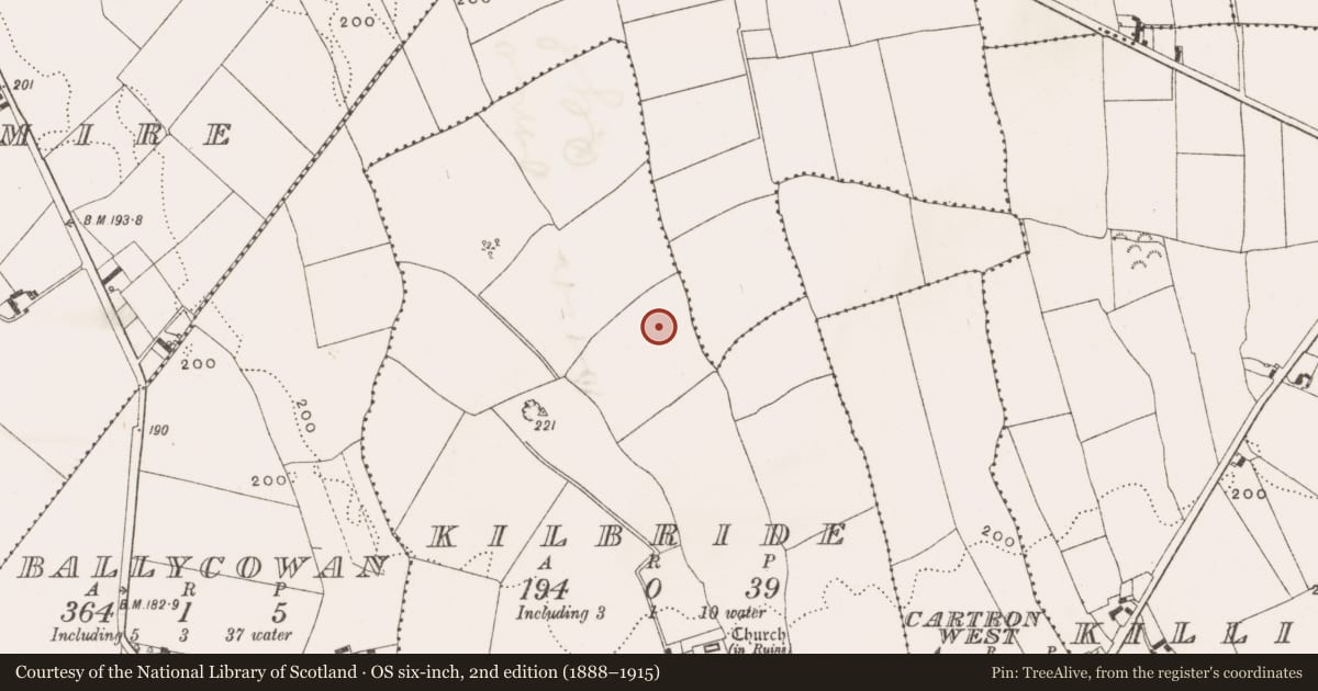 Ordnance Survey six-inch map, 2nd edition (1888–1915) covering the location of Enclosure, Kilbride, County Offaly, with a pin at the register's coordinates