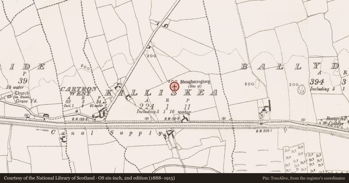 Ordnance Survey six-inch map, 2nd edition (1888–1915) covering the location of Ritual site - holy tree/bush, Killiskea, County Offaly, with a pin at the register's coordinates