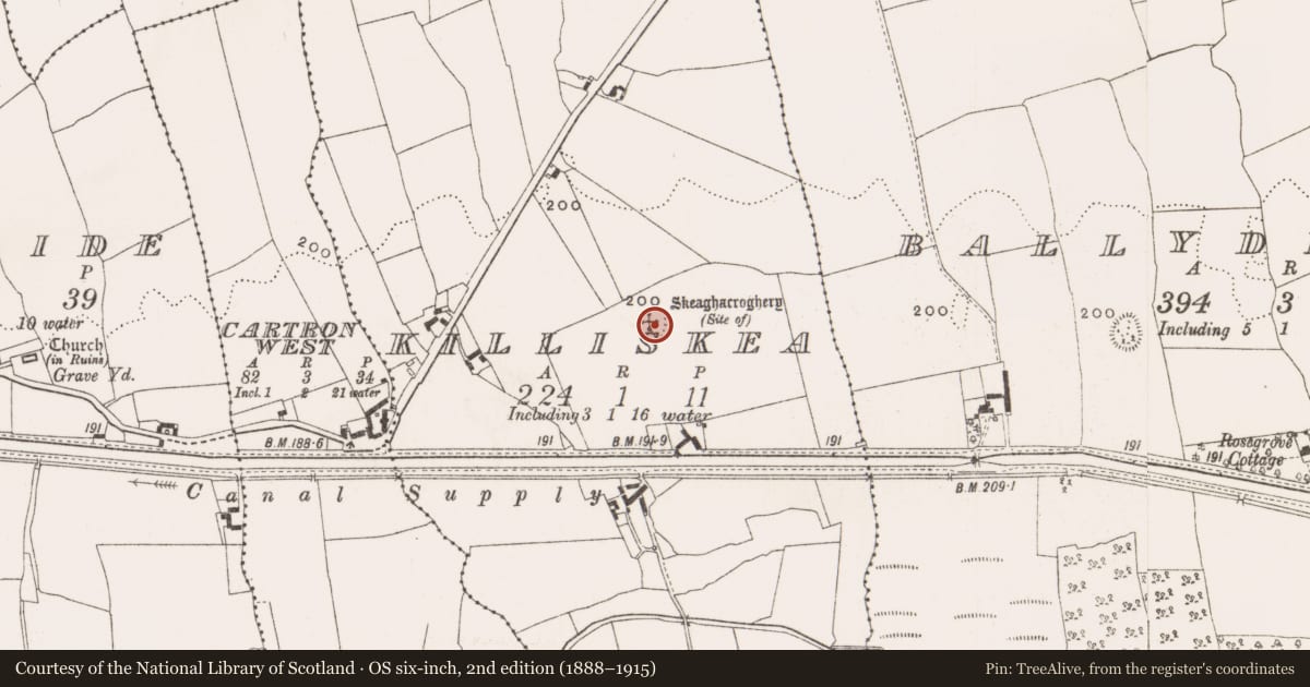 Ordnance Survey six-inch map, 2nd edition (1888–1915) covering the location of Enclosure, Killiskea, County Offaly, with a pin at the register's coordinates