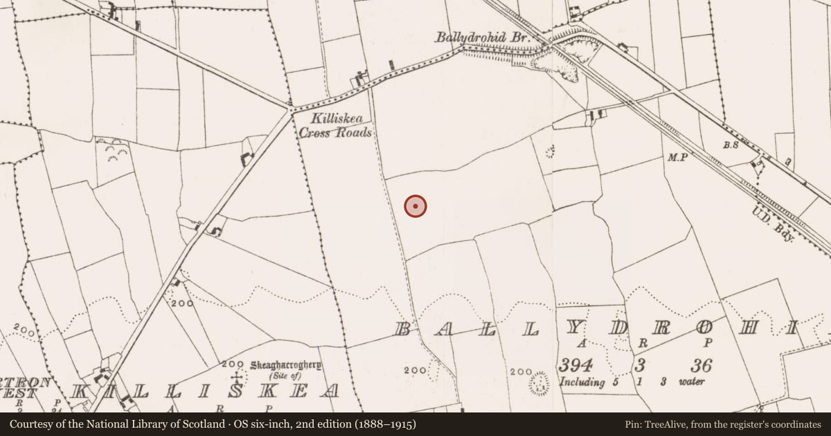 Ordnance Survey six-inch map, 2nd edition (1888–1915) covering the location of Standing stone, Ballydrohid, County Offaly, with a pin at the register's coordinates
