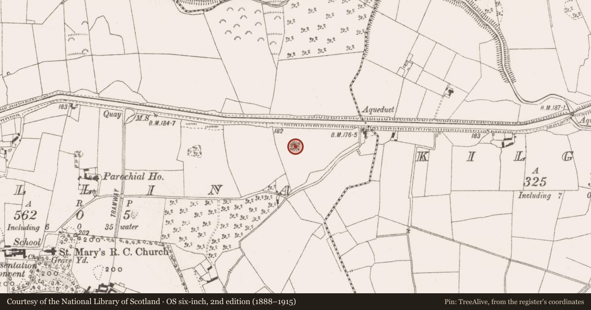 Ordnance Survey six-inch map, 2nd edition (1888–1915) covering the location of Mound, Killina, County Offaly, with a pin at the register's coordinates