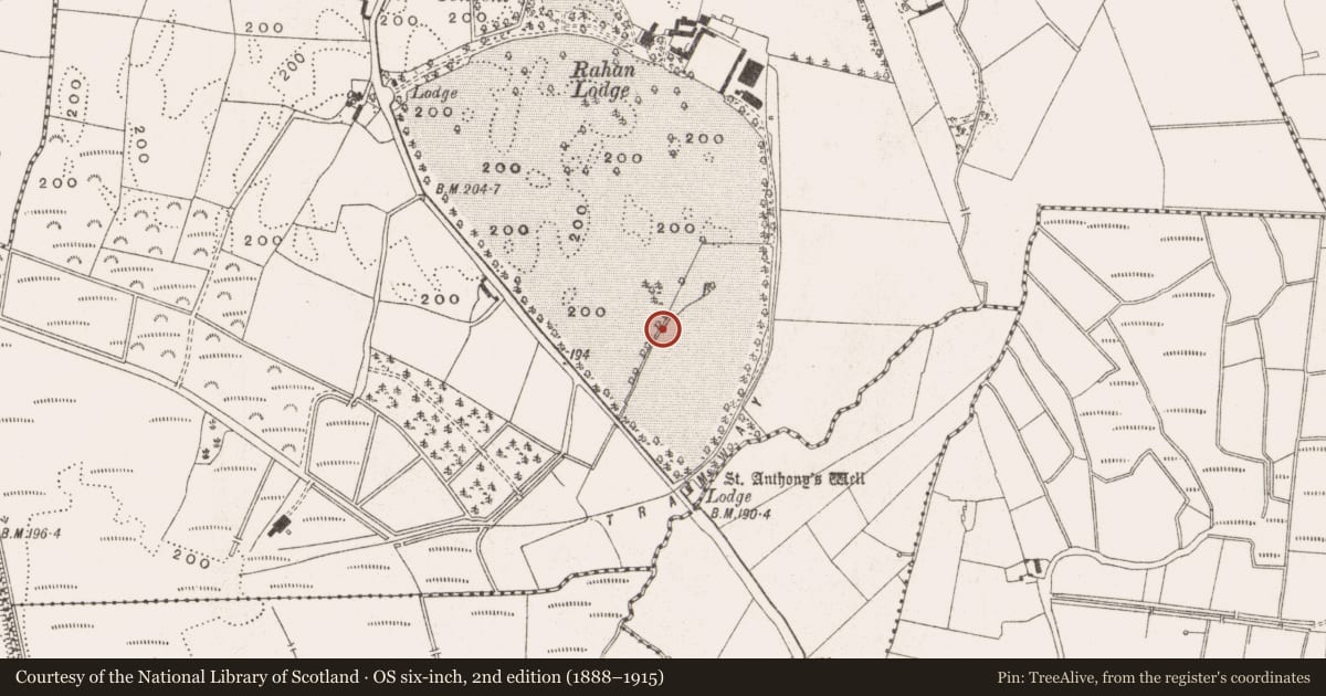 Ordnance Survey six-inch map, 2nd edition (1888–1915) covering the location of Designed landscape feature, Killina, County Offaly, with a pin at the register's coordinates