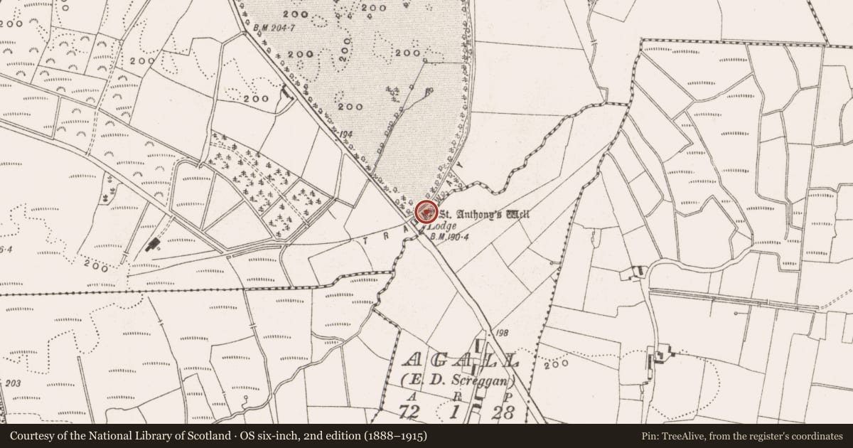 Ordnance Survey six-inch map, 2nd edition (1888–1915) covering the location of Ritual site - holy well, Killina, County Offaly, with a pin at the register's coordinates