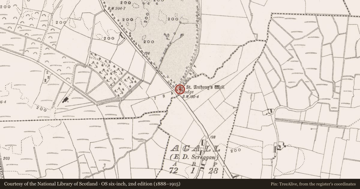 Ordnance Survey six-inch map, 2nd edition (1888–1915) covering the location of Bullaun stone (present location), Killina, County Offaly, with a pin at the register's coordinates