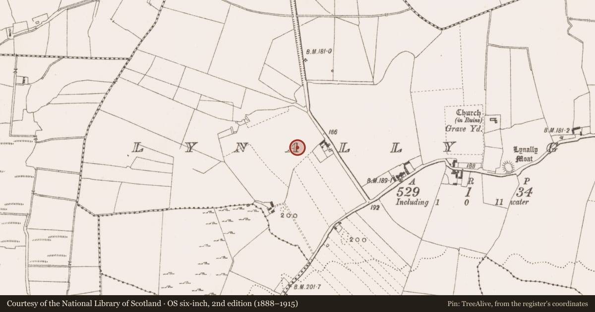 Ordnance Survey six-inch map, 2nd edition (1888–1915) covering the location of Enclosure, Lynally Glebe, County Offaly, with a pin at the register's coordinates