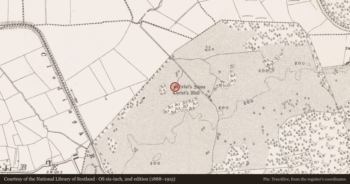 Ordnance Survey six-inch map, 2nd edition (1888–1915) covering the location of Bullaun stone, Charleville Demesne, County Offaly, with a pin at the register's coordinates