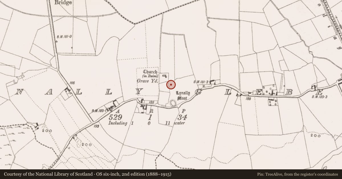 Ordnance Survey six-inch map, 2nd edition (1888–1915) covering the location of Ecclesiastical enclosure, Lynally Glebe, County Offaly, with a pin at the register's coordinates