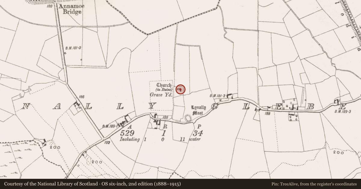 Ordnance Survey six-inch map, 2nd edition (1888–1915) covering the location of Graveslab, Lynally Glebe, County Offaly, with a pin at the register's coordinates