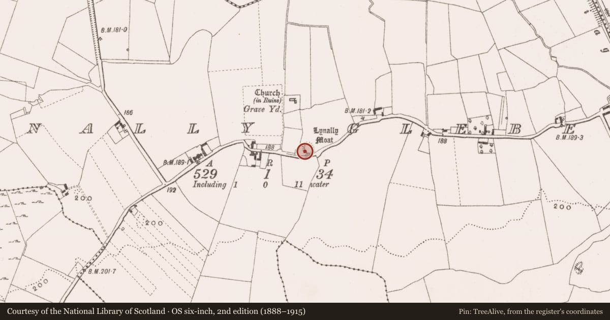 Ordnance Survey six-inch map, 2nd edition (1888–1915) covering the location of Castle - motte and bailey, Lynally Glebe, County Offaly, with a pin at the register's coordinates