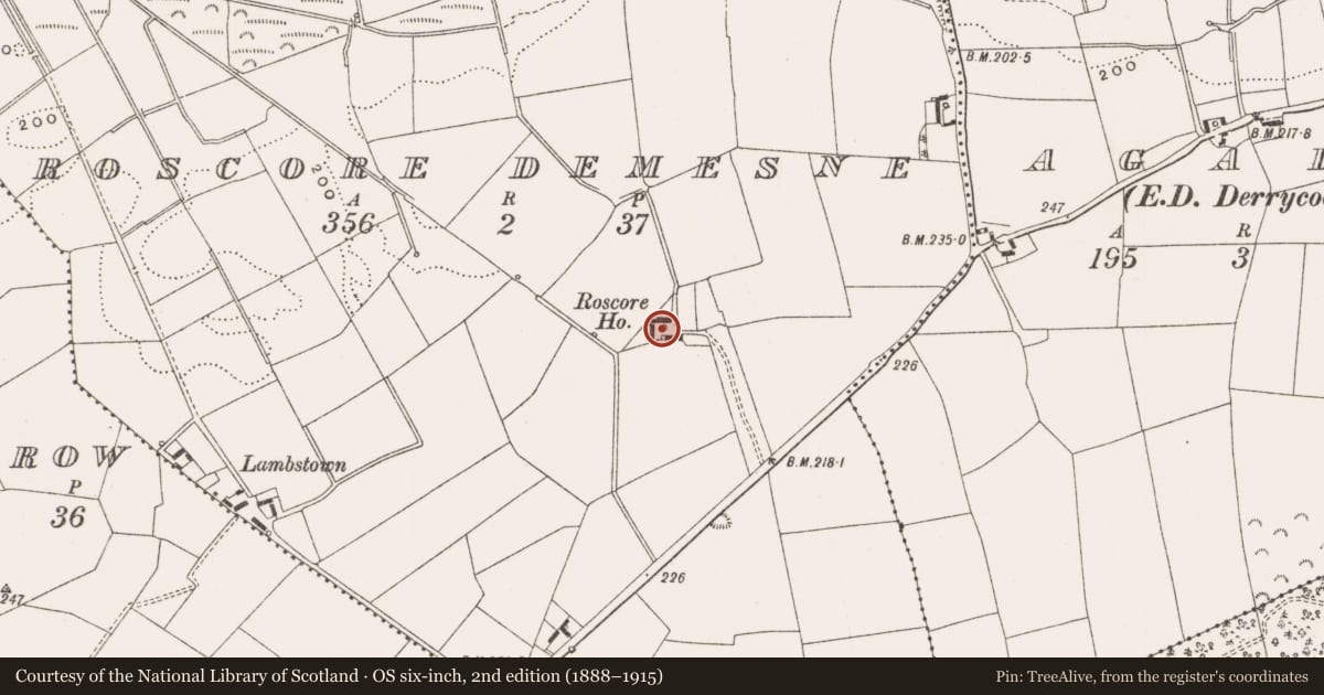Ordnance Survey six-inch map, 2nd edition (1888–1915) covering the location of Bawn, Roscore Demesne, County Offaly, with a pin at the register's coordinates