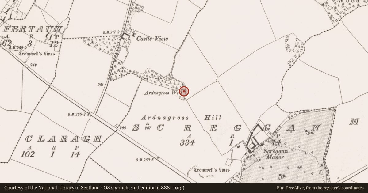 Ordnance Survey six-inch map, 2nd edition (1888–1915) covering the location of Ritual site - holy well, Screggan, County Offaly, with a pin at the register's coordinates