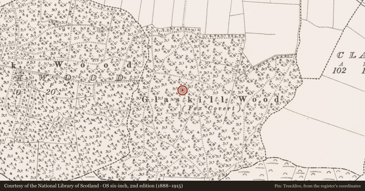 Ordnance Survey six-inch map, 2nd edition (1888–1915) covering the location of Designed landscape - tree-ring, Glaskill, County Offaly, with a pin at the register's coordinates