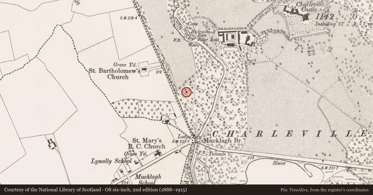 Ordnance Survey six-inch map, 2nd edition (1888–1915) covering the location of Enclosure, Charleville Demesne, County Offaly, with a pin at the register's coordinates