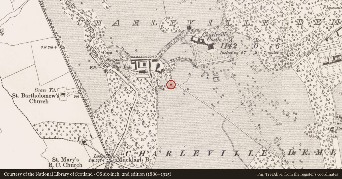 Ordnance Survey six-inch map, 2nd edition (1888–1915) covering the location of Castle - unclassified, Charleville Demesne, County Offaly, with a pin at the register's coordinates