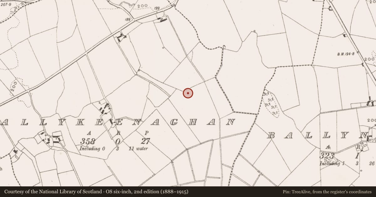 Ordnance Survey six-inch map, 2nd edition (1888–1915) covering the location of Enclosure, Ballykeenaghan, County Offaly, with a pin at the register's coordinates