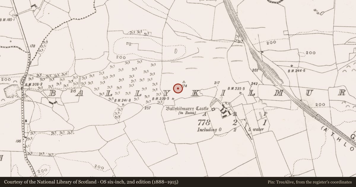 Ordnance Survey six-inch map, 2nd edition (1888–1915) covering the location of Enclosure, Ballykilmurry, County Offaly, with a pin at the register's coordinates