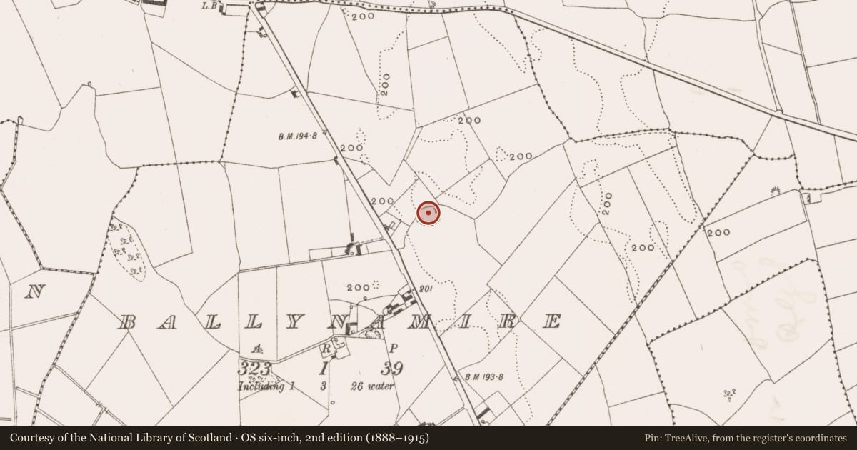 Ordnance Survey six-inch map, 2nd edition (1888–1915) covering the location of Enclosure, Ballynamire, County Offaly, with a pin at the register's coordinates