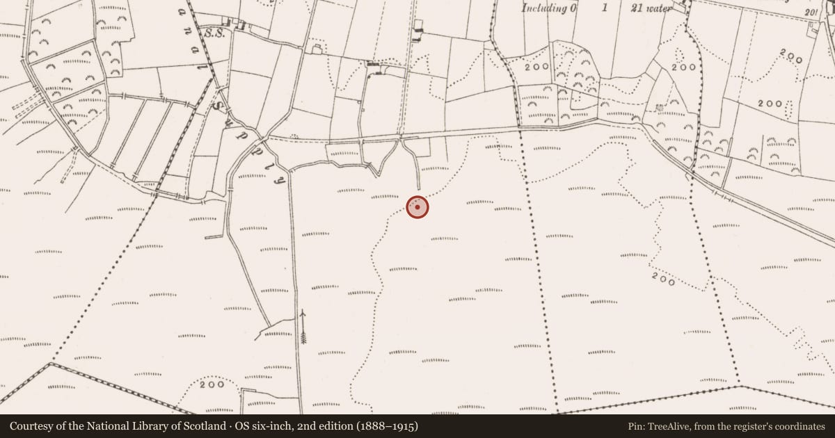 Ordnance Survey six-inch map, 2nd edition (1888–1915) covering the location of Road - class 3 togher, Rahan Demesne, County Offaly, with a pin at the register's coordinates