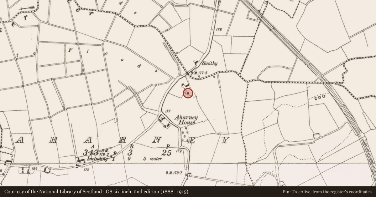 Ordnance Survey six-inch map, 2nd edition (1888–1915) covering the location of Burial ground, Aharney, County Offaly, with a pin at the register's coordinates