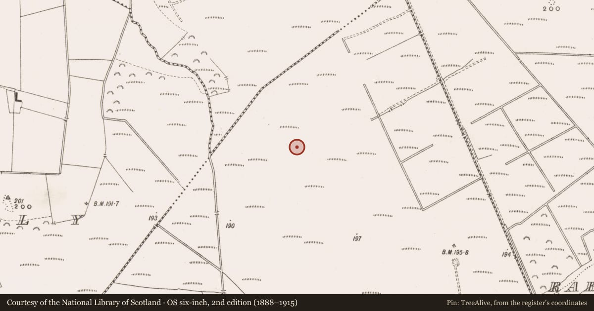 Ordnance Survey six-inch map, 2nd edition (1888–1915) covering the location of Road - class 3 togher, Derrinvullig, County Offaly, with a pin at the register's coordinates