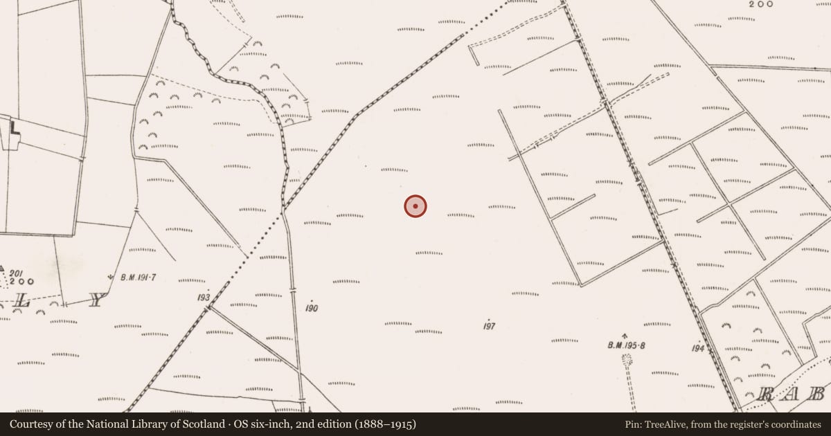 Ordnance Survey six-inch map, 2nd edition (1888–1915) covering the location of Structure - peatland, Derrinvullig, County Offaly, with a pin at the register's coordinates