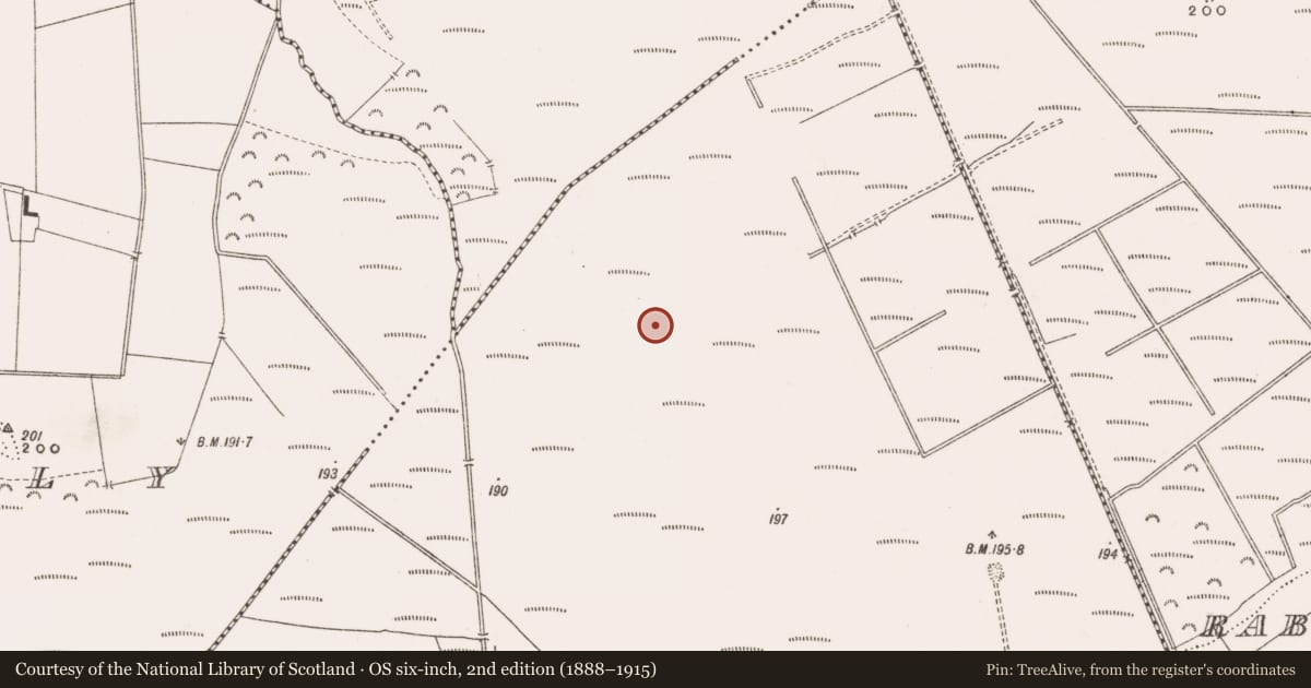 Ordnance Survey six-inch map, 2nd edition (1888–1915) covering the location of Road - class 3 togher, Derrinvullig, County Offaly, with a pin at the register's coordinates