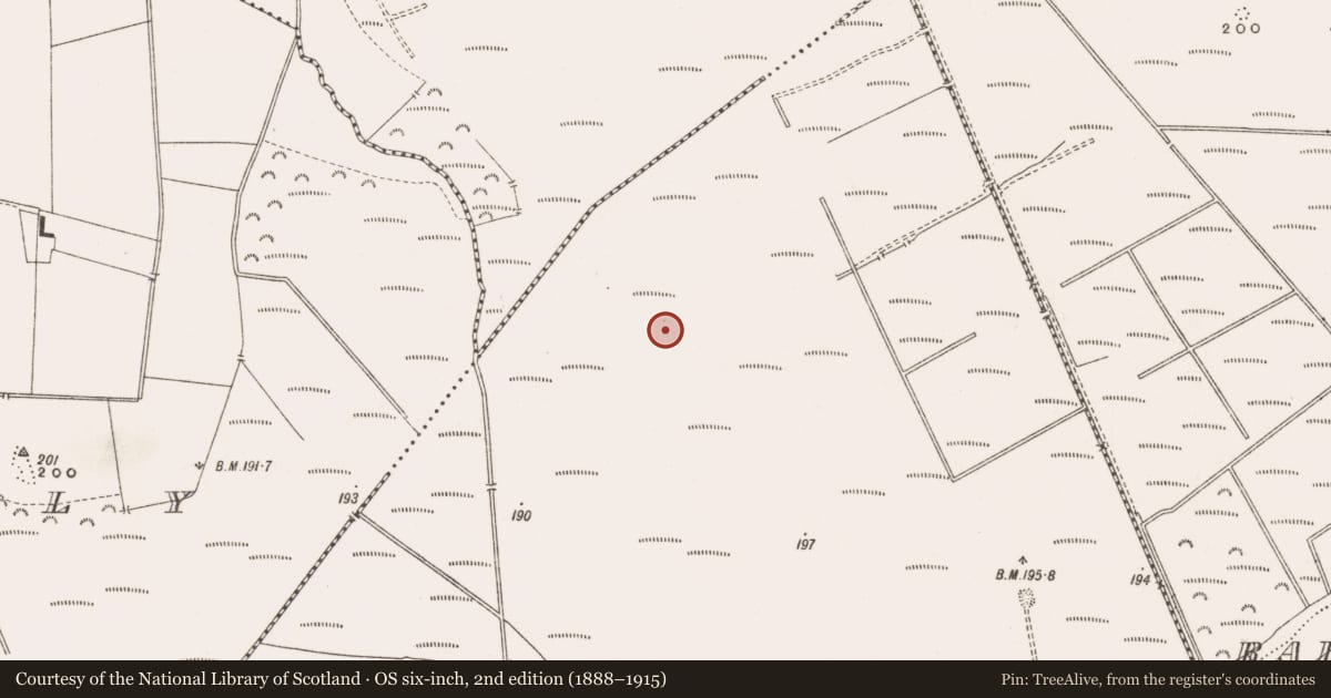 Ordnance Survey six-inch map, 2nd edition (1888–1915) covering the location of Road - class 3 togher, Derrinvullig, County Offaly, with a pin at the register's coordinates