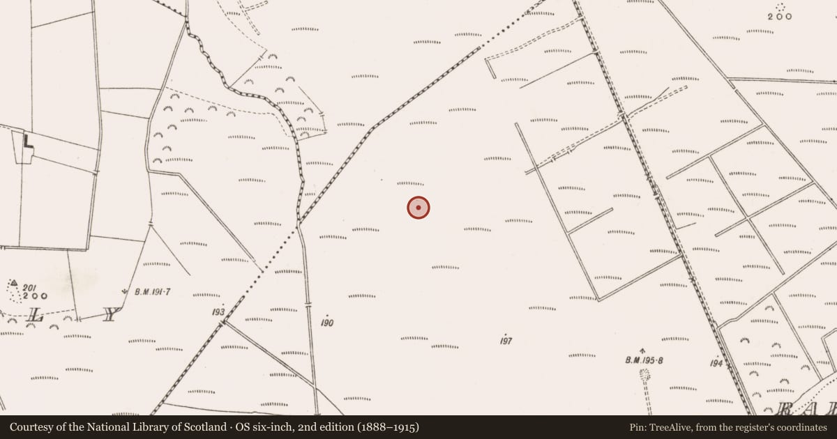 Ordnance Survey six-inch map, 2nd edition (1888–1915) covering the location of Road - class 3 togher, Derrinvullig, County Offaly, with a pin at the register's coordinates