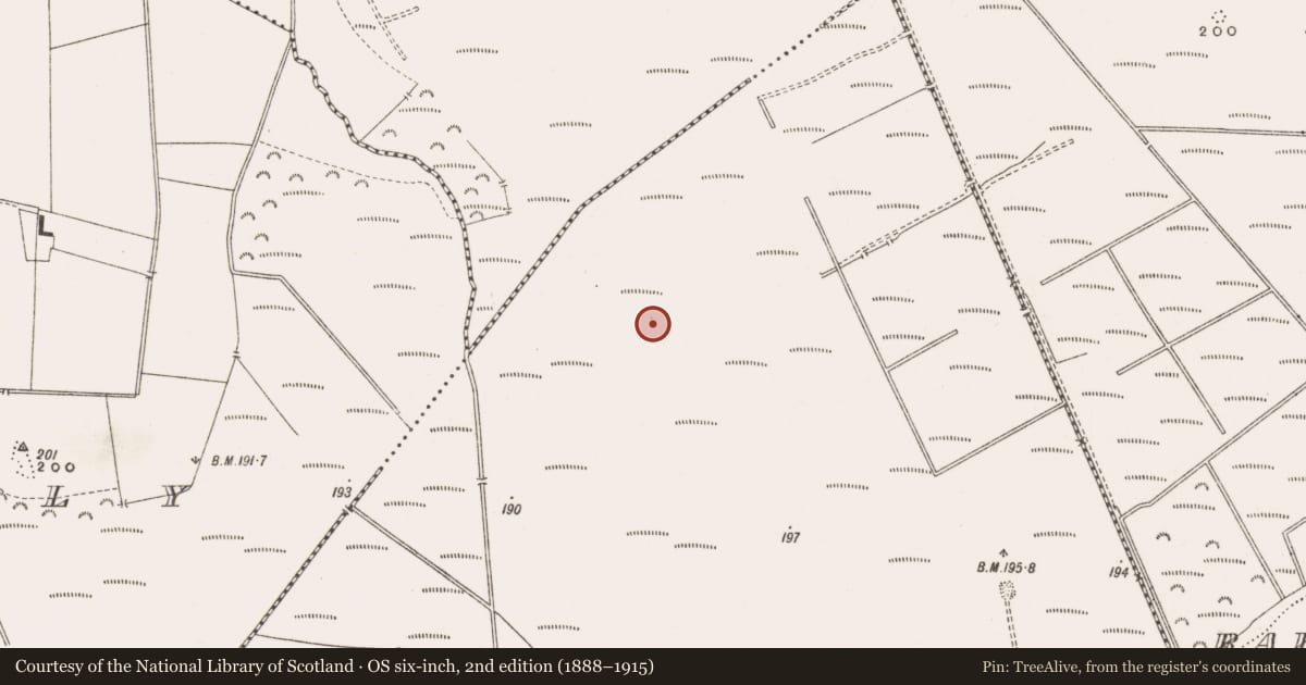 Ordnance Survey six-inch map, 2nd edition (1888–1915) covering the location of Road - class 3 togher, Derrinvullig, County Offaly, with a pin at the register's coordinates