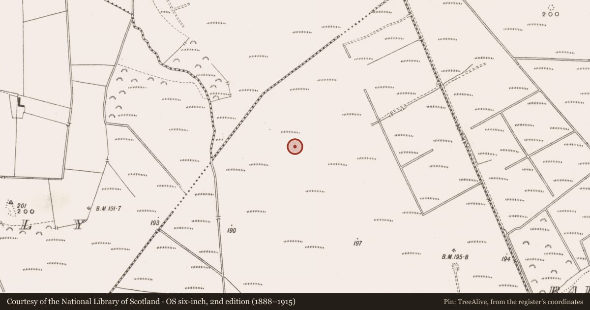 Ordnance Survey six-inch map, 2nd edition (1888–1915) covering the location of Structure - peatland, Derrinvullig, County Offaly, with a pin at the register's coordinates