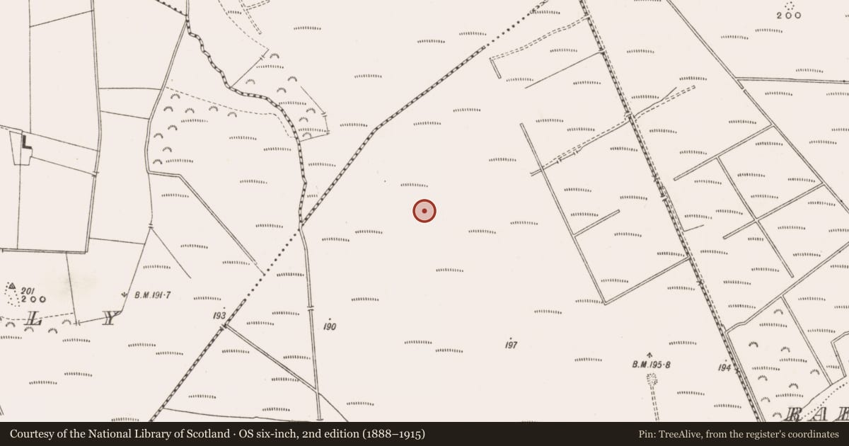 Ordnance Survey six-inch map, 2nd edition (1888–1915) covering the location of Road - class 3 togher, Derrinvullig, County Offaly, with a pin at the register's coordinates