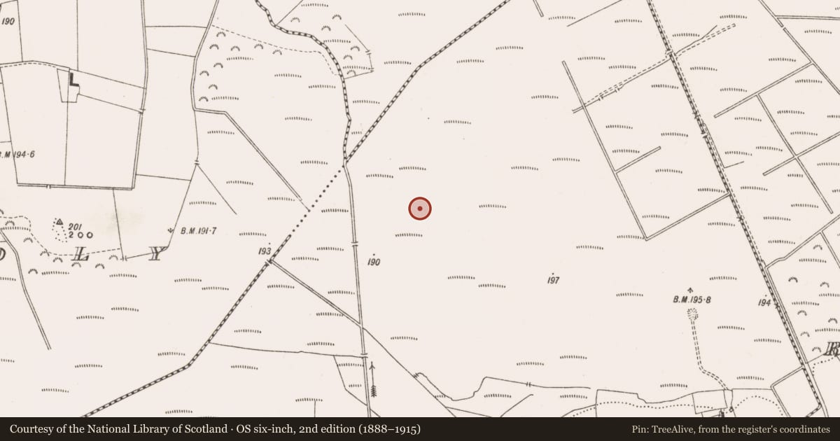 Ordnance Survey six-inch map, 2nd edition (1888–1915) covering the location of Structure - peatland, Derrinvullig, County Offaly, with a pin at the register's coordinates