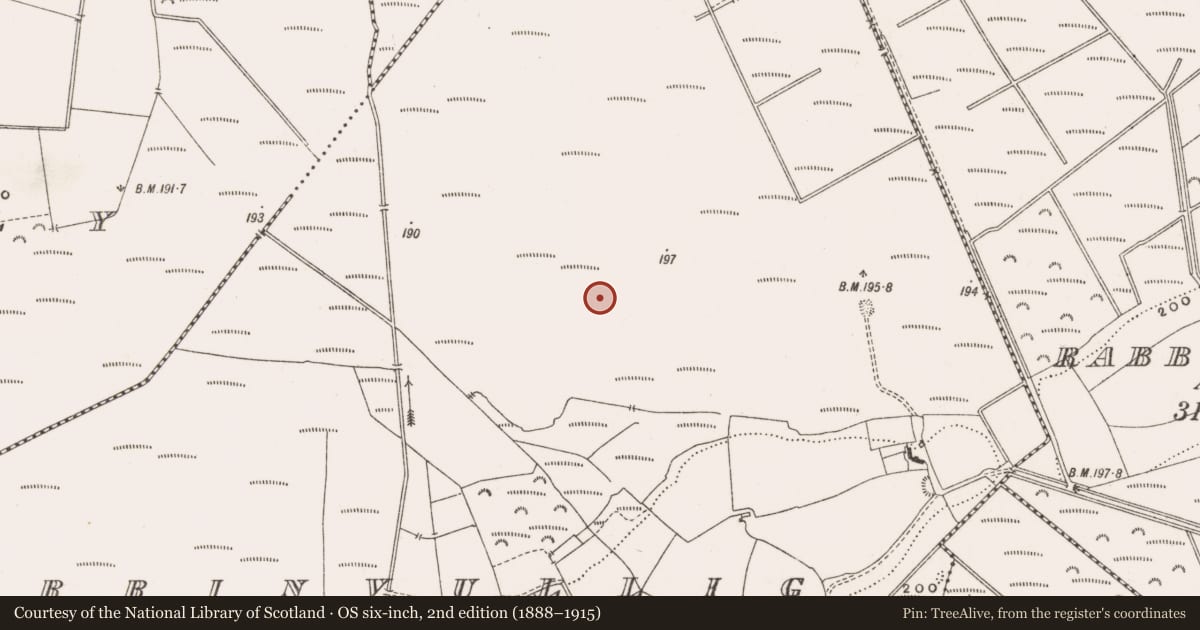 Ordnance Survey six-inch map, 2nd edition (1888–1915) covering the location of Structure - peatland, Derrinvullig, County Offaly, with a pin at the register's coordinates