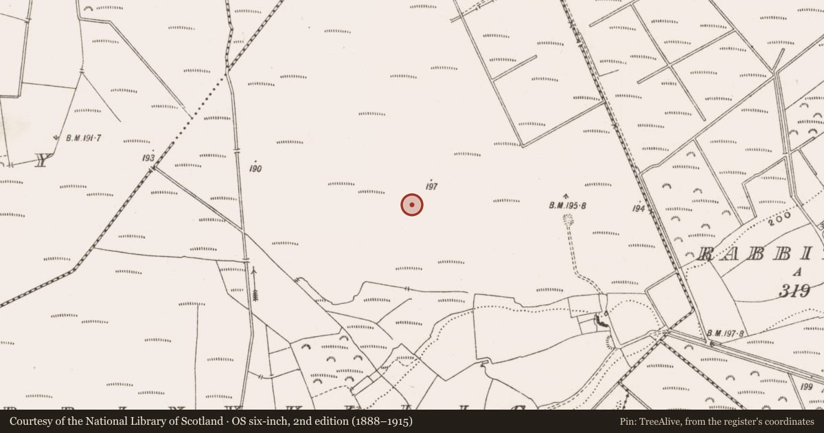 Ordnance Survey six-inch map, 2nd edition (1888–1915) covering the location of Road - class 3 togher, Derrinvullig, County Offaly, with a pin at the register's coordinates