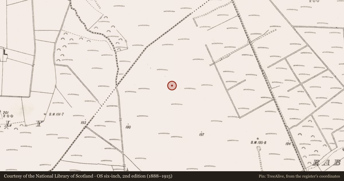Ordnance Survey six-inch map, 2nd edition (1888–1915) covering the location of Road - class 3 togher, Derrinvullig, County Offaly, with a pin at the register's coordinates