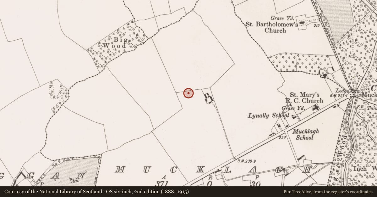 Ordnance Survey six-inch map, 2nd edition (1888–1915) covering the location of Charcoal-making site, Mucklagh, County Offaly, with a pin at the register's coordinates