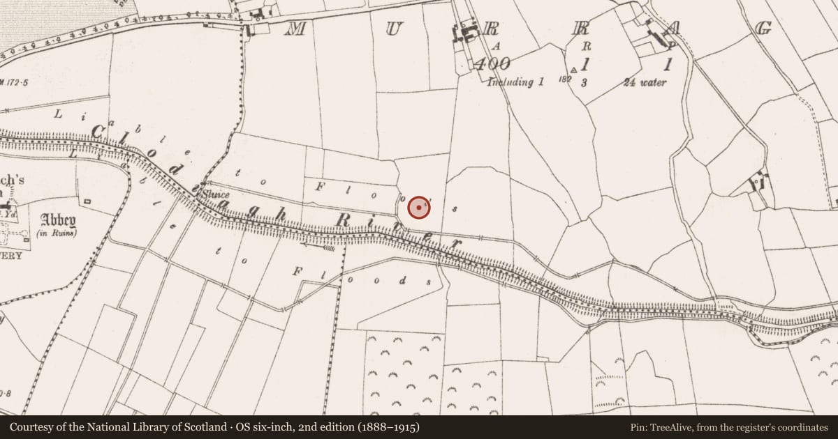Ordnance Survey six-inch map, 2nd edition (1888–1915) covering the location of Enclosure - large enclosure, Murragh, County Offaly, with a pin at the register's coordinates