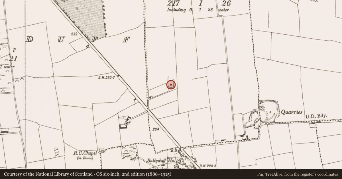 Ordnance Survey six-inch map, 2nd edition (1888–1915) covering the location of Ringfort - rath, Muiniagh, County Offaly, with a pin at the register's coordinates